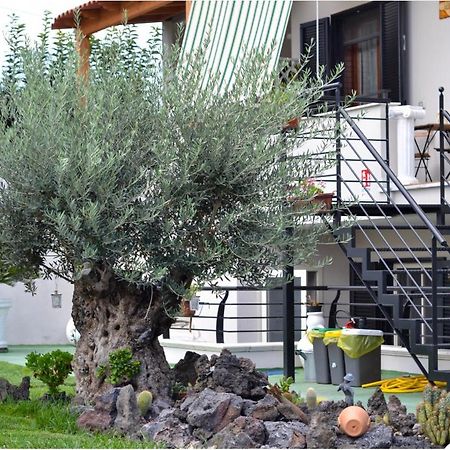 Pompei Gryllus Bed & Breakfast Eksteriør bilde