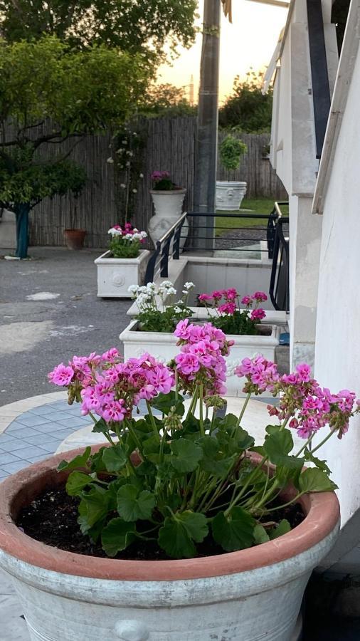 Pompei Gryllus Bed & Breakfast Eksteriør bilde